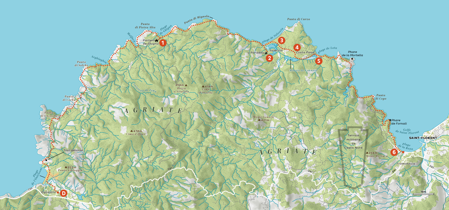 Carte de randonnée en Corse créée par Greg Franco – Le Cartographiste pour la rubrique Sentiers Sauvages de Terre Sauvage.