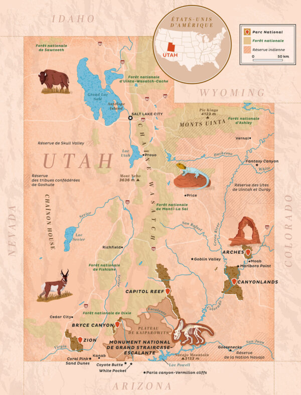 Carte illustrée de l'Utah montrant les parcs nationaux, les villes principales, et des illustrations de faune sauvage locale.