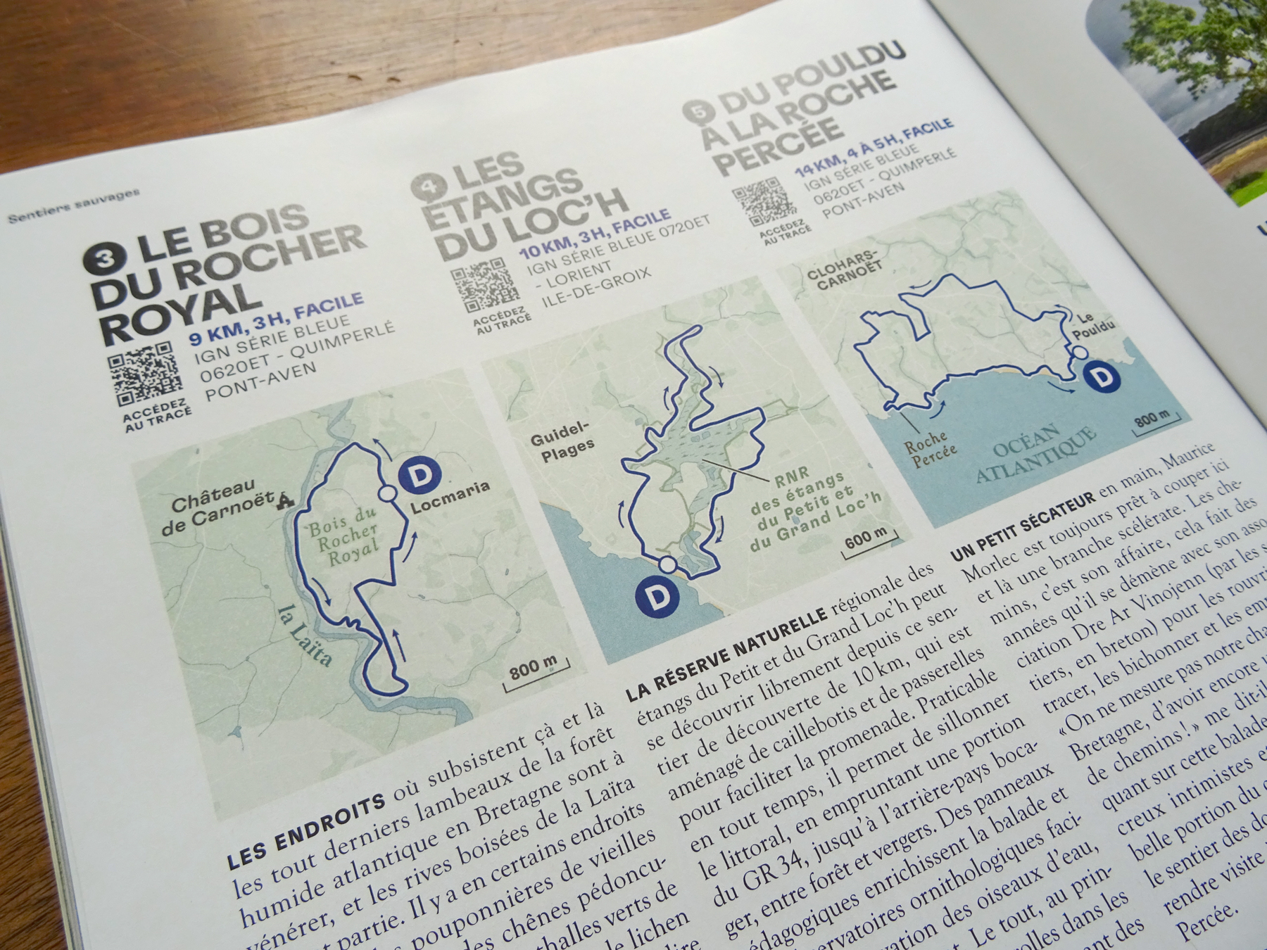 Gros plan sur les trois petites cartes dans la maquette du magazine Terre Sauvage.